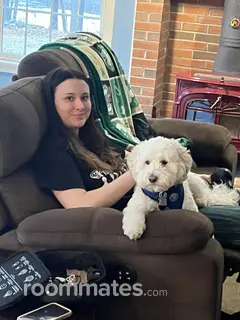 Roommate looking Lexington, MA, $1200