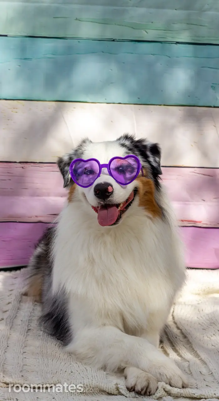 Profile photo 3 of 10