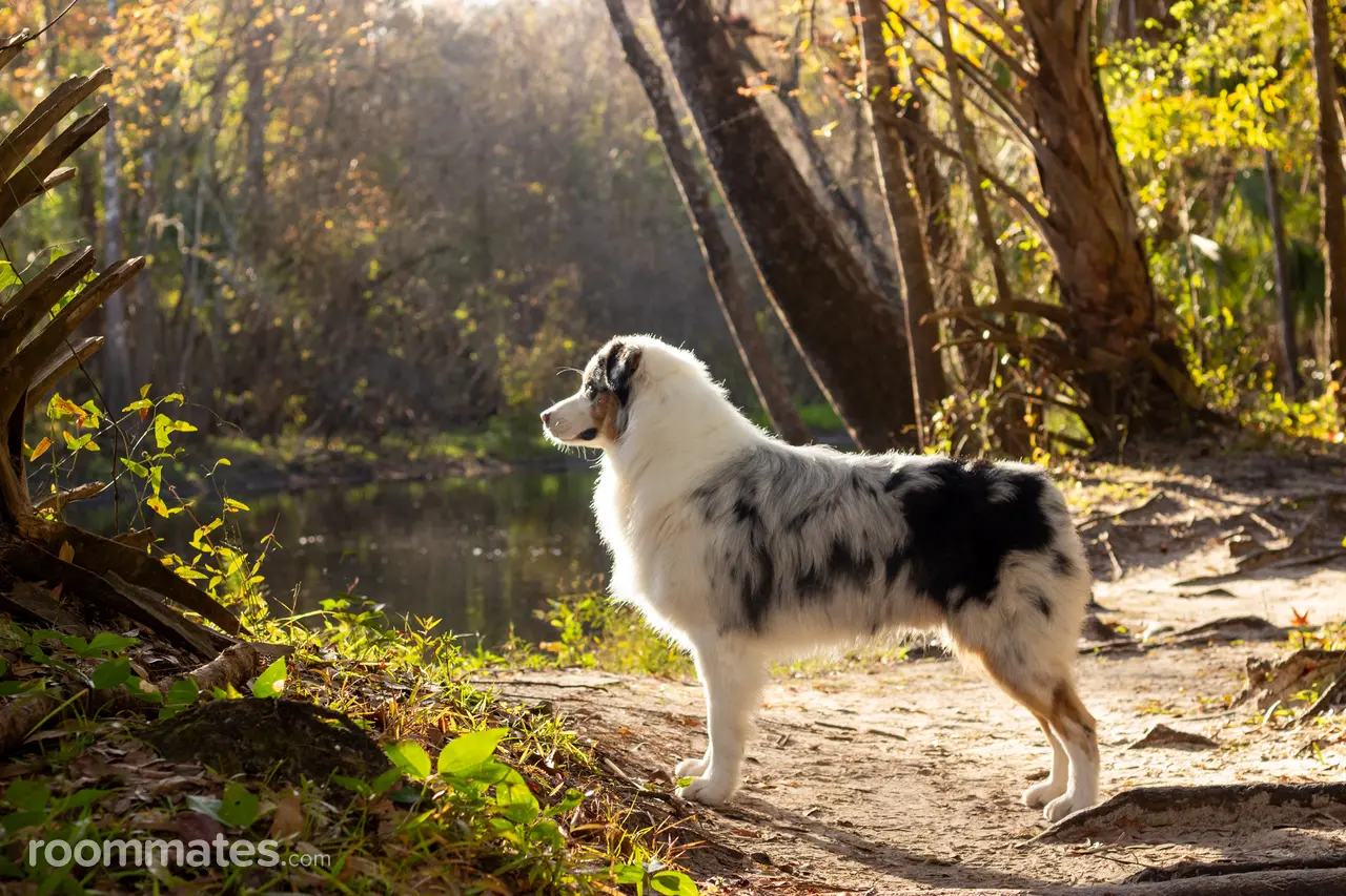 Profile photo 7 of 10