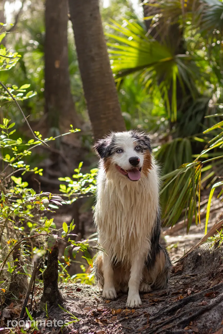 Profile photo 5 of 10