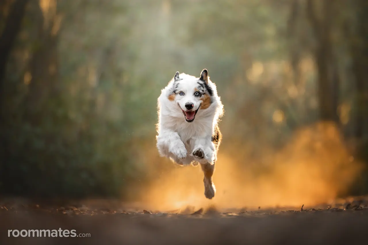 Profile photo 9 of 10