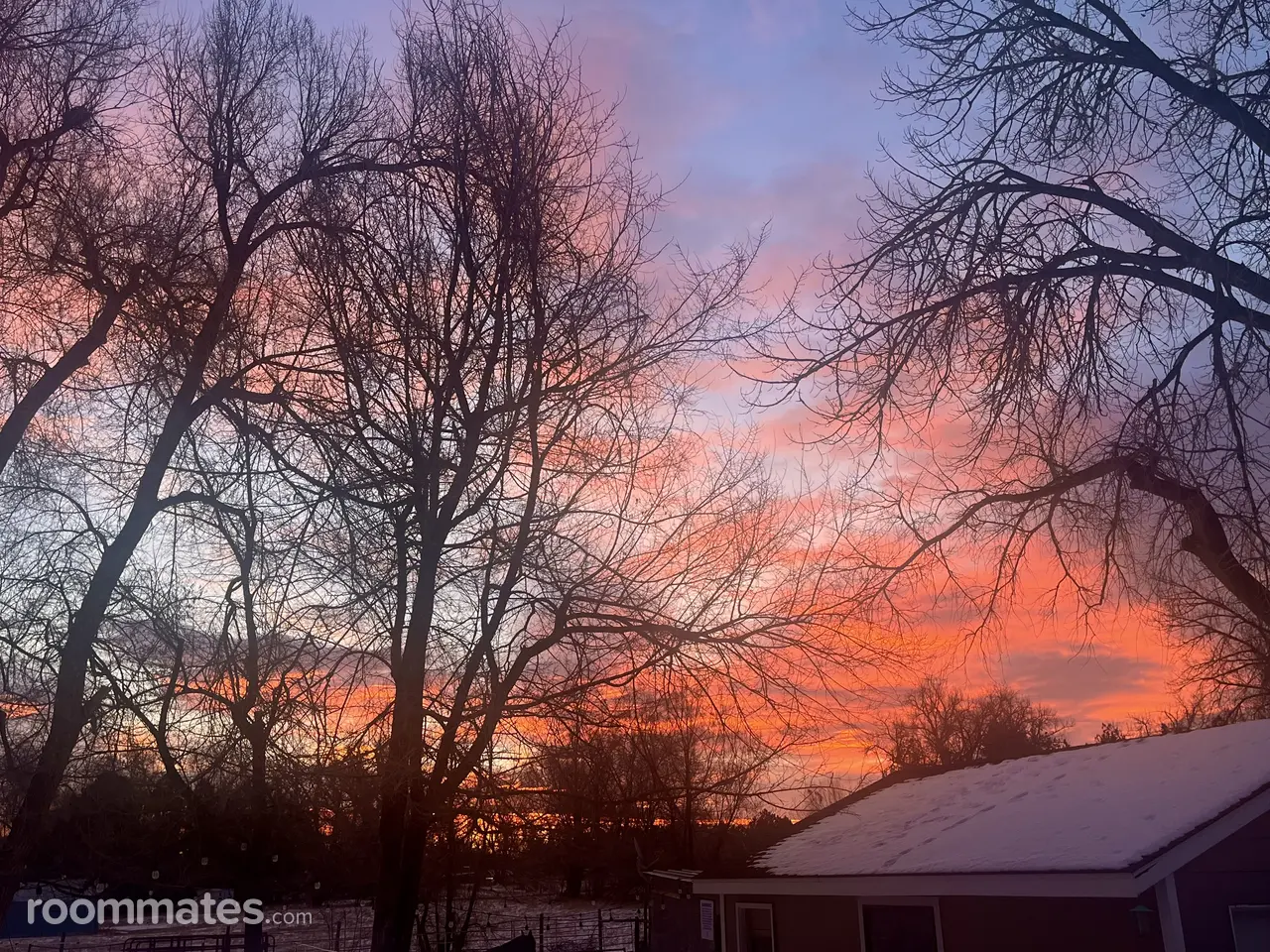 Profile photo 1 of 7