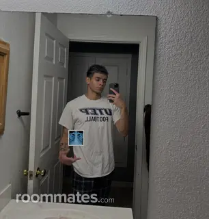 Roommate looking Horizon City, TX, $800