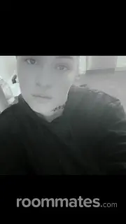 Roommate looking Penn Valley, CA, $800