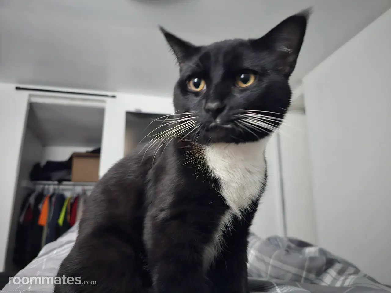 Profile photo 2 of 4