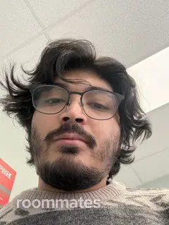 Roommate looking Manassas, VA, $800