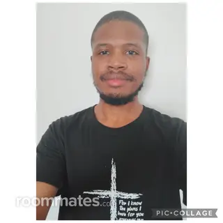 Roommate looking Chicago Heights, IL, $800