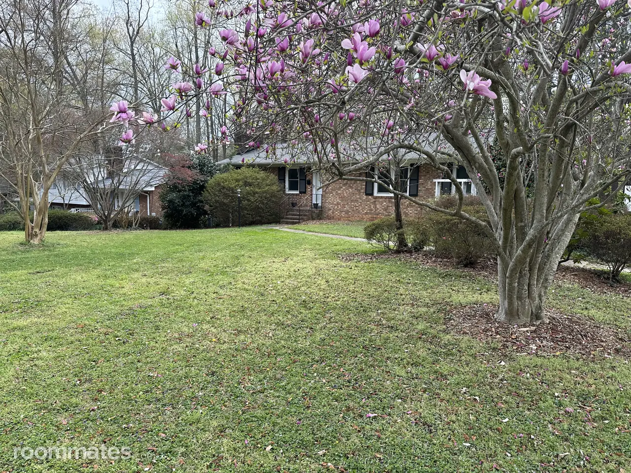 Profile photo 9 of 11