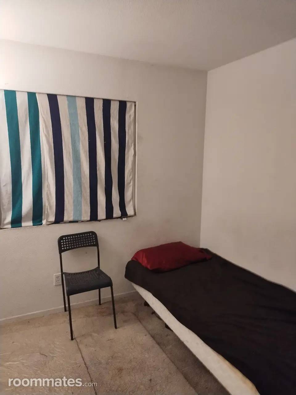 Profile photo 2 of 2