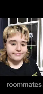 Roommate looking Pittsburgh, PA, $700