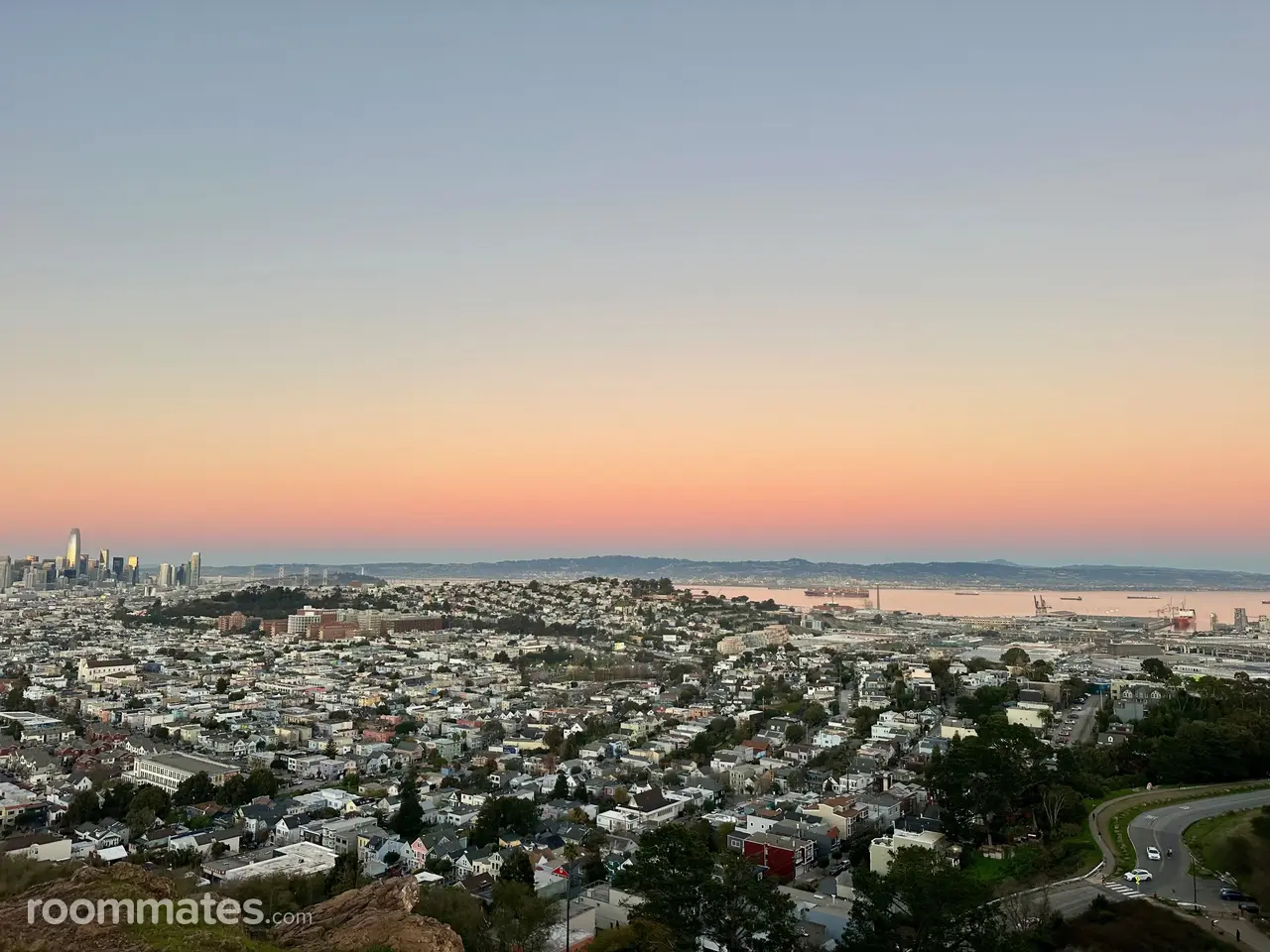 Profile photo 7 of 7