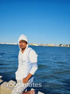 Roommate looking Addison IL, $500