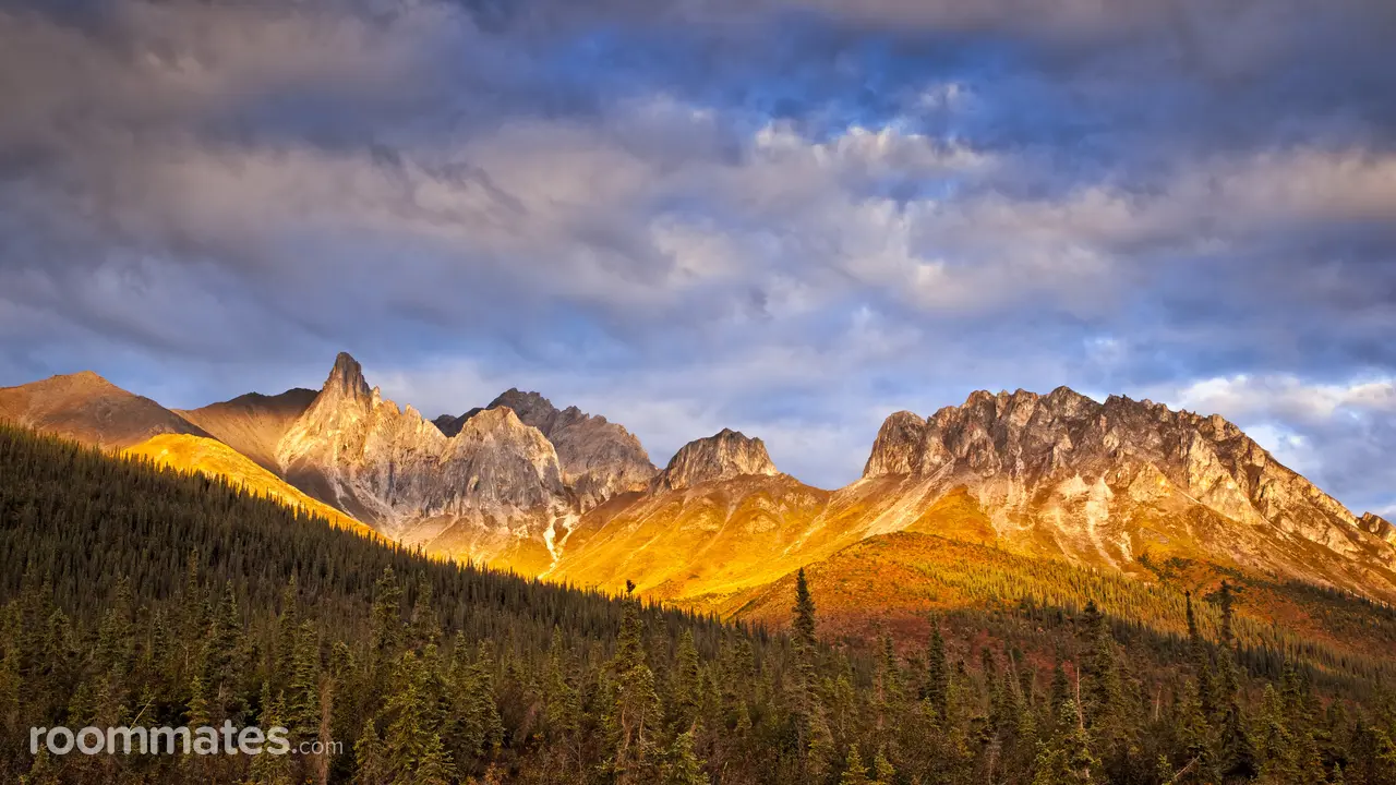 Profile photo 1 of 1