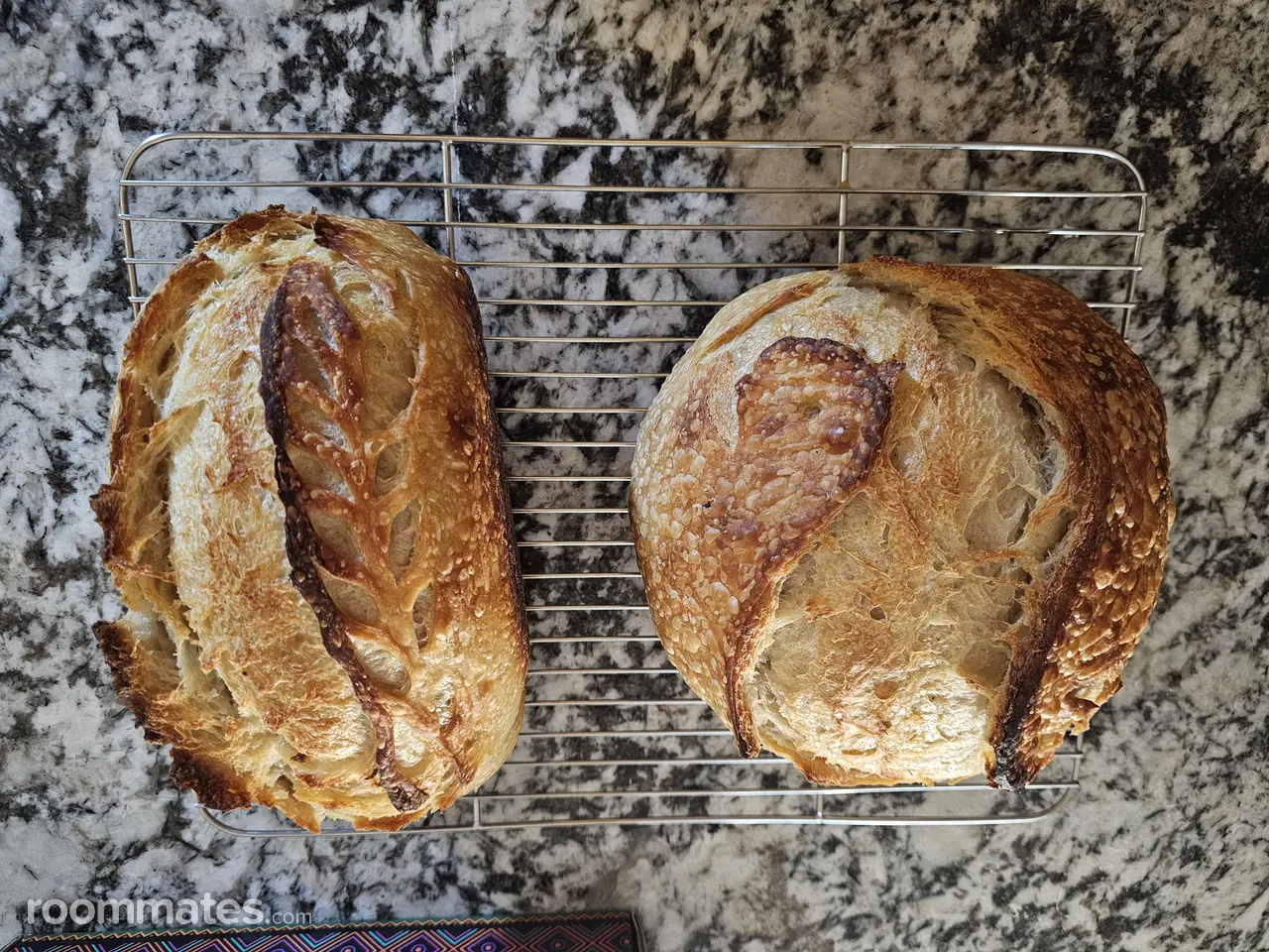 Profile photo 5 of 5