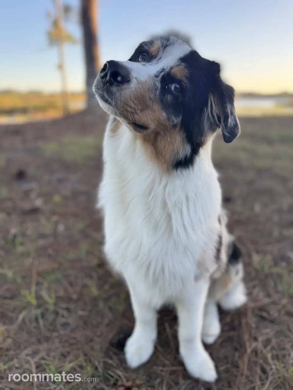 Profile photo 2 of 2