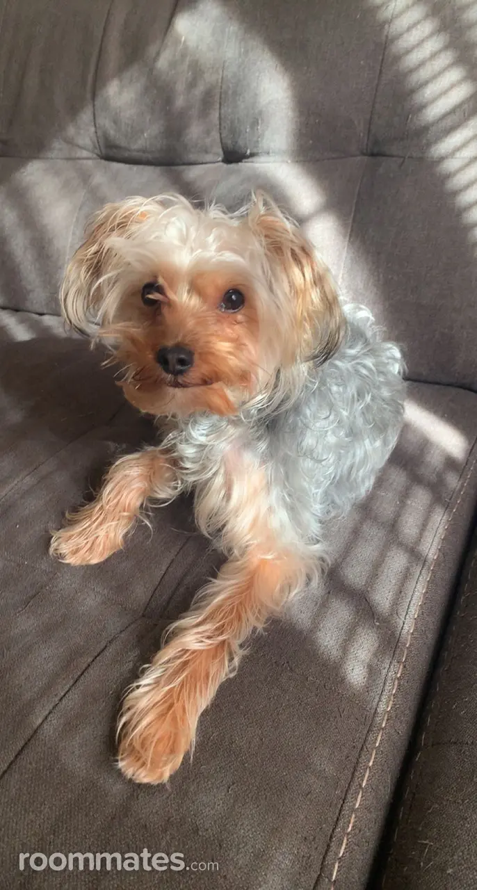 Profile photo 2 of 2