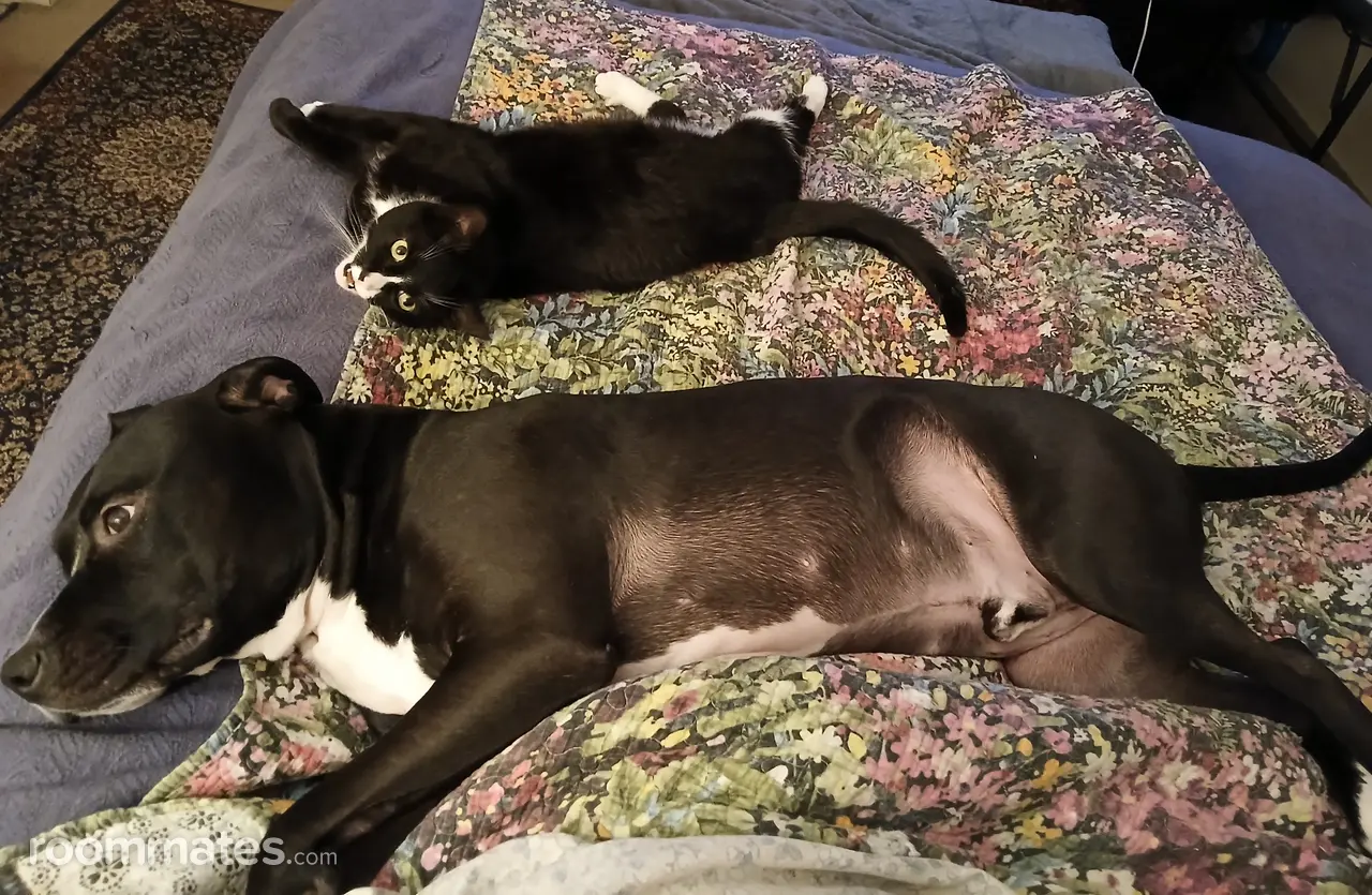 Profile photo 3 of 3