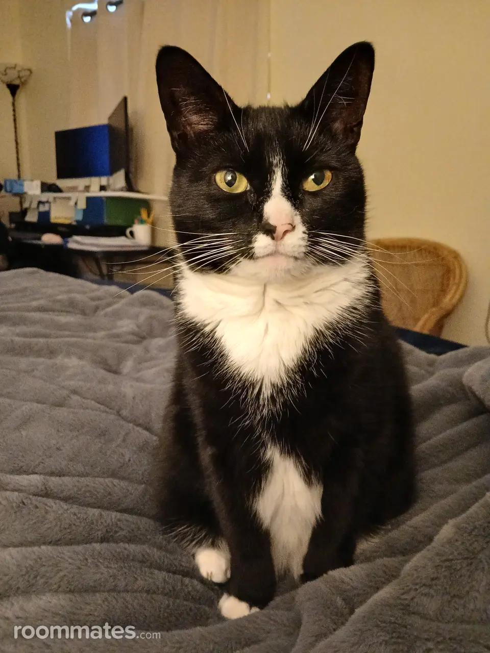 Profile photo 2 of 3