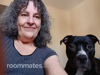 Roommate looking Albany, NY, $900