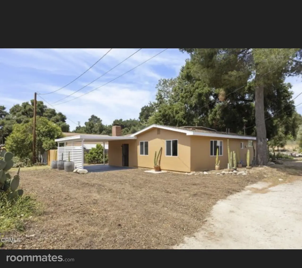 Profile photo 6 of 7