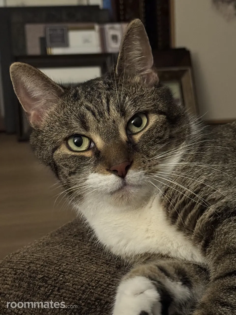 Profile photo 4 of 11