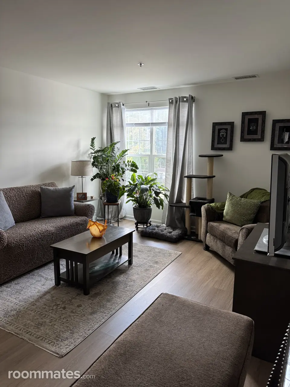 Profile photo 10 of 11