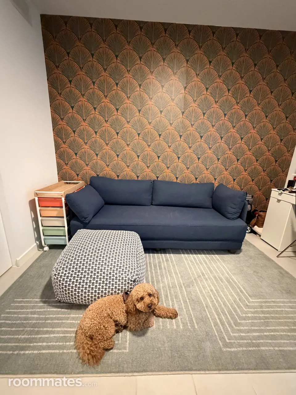 Profile photo 9 of 10