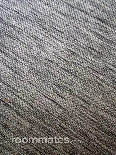 Roommate looking Ocala, FL, $900