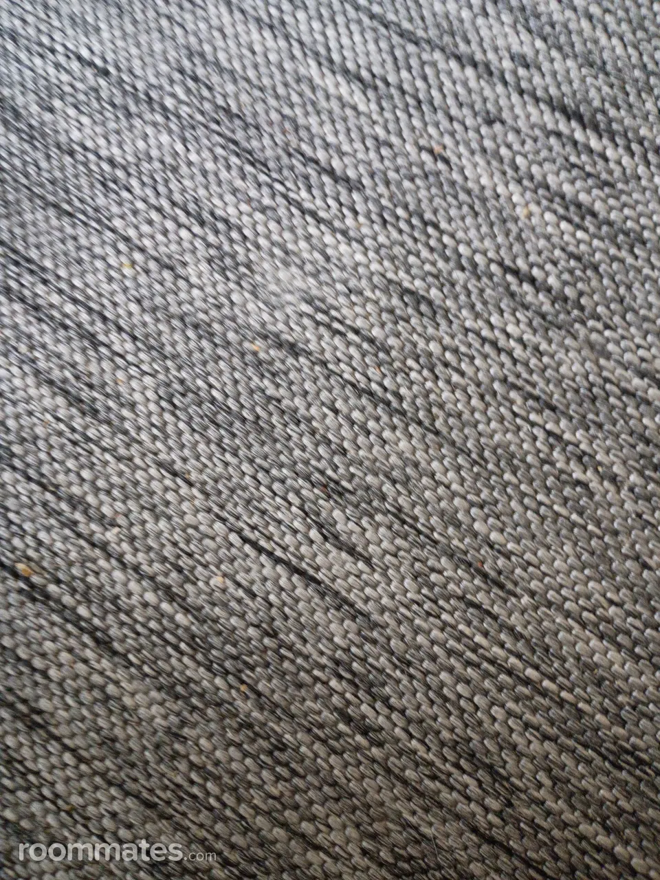 Profile photo 1 of 1