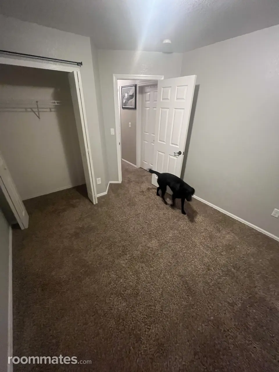 Profile photo 3 of 6