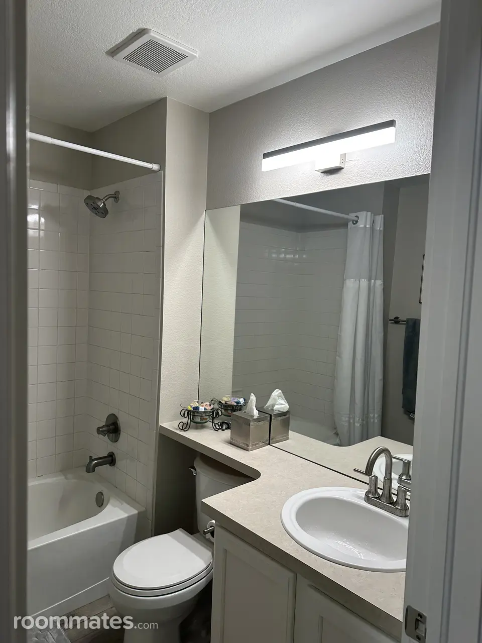 Profile photo 8 of 11