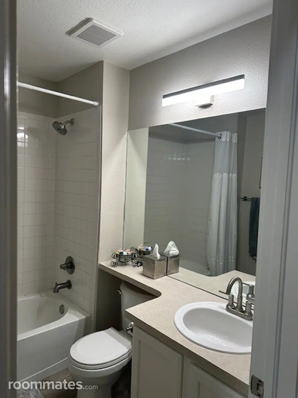 Profile photo 7 of 8