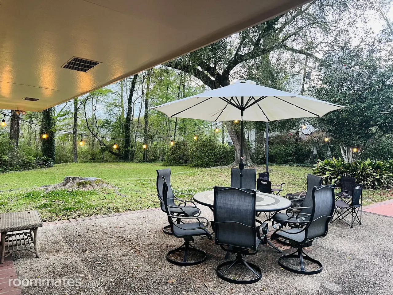 Profile photo 4 of 11