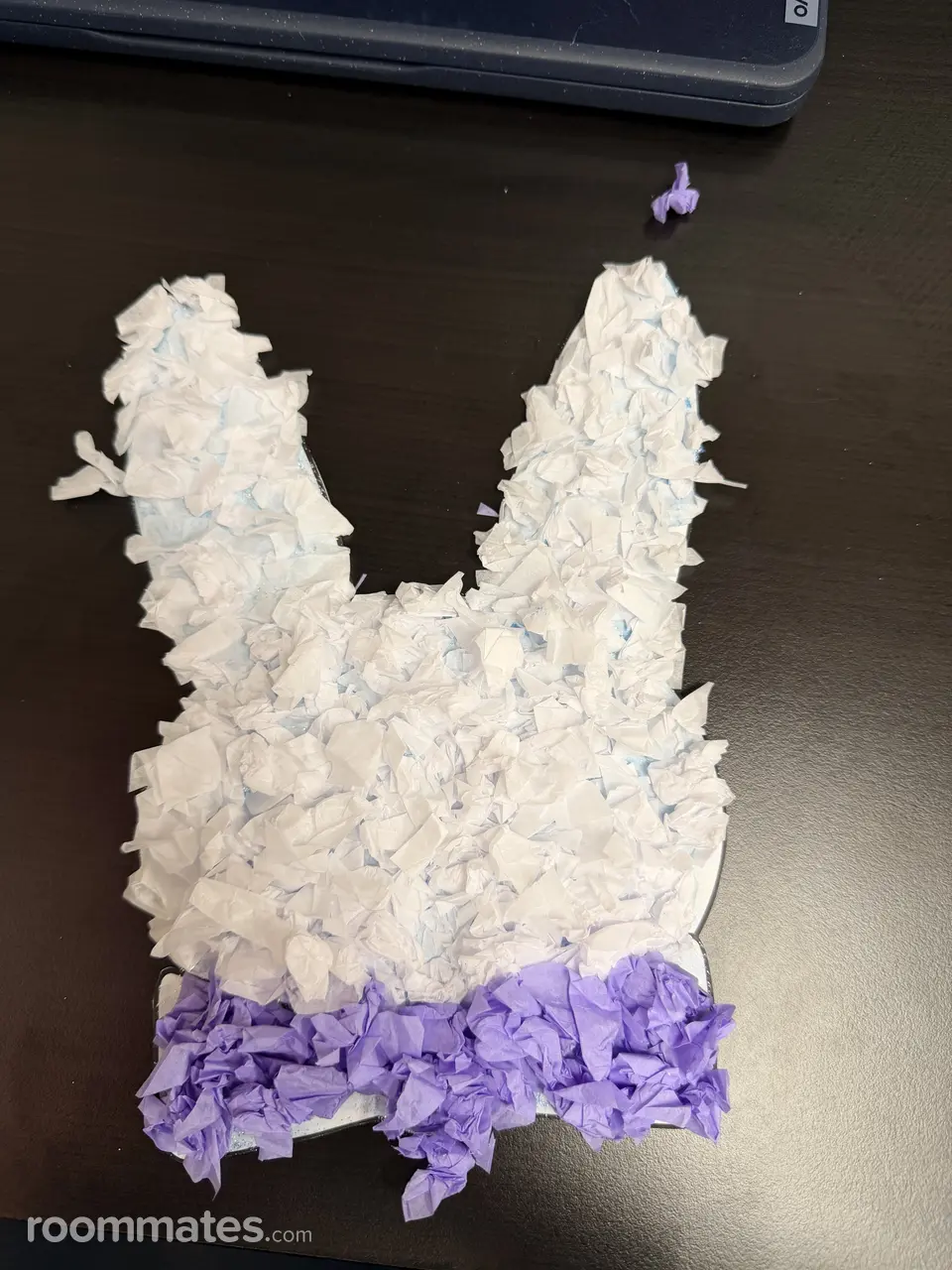 Profile photo 1 of 1