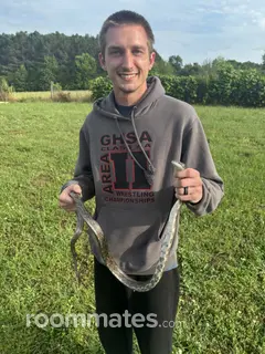 Roommate looking Evans, GA, $500