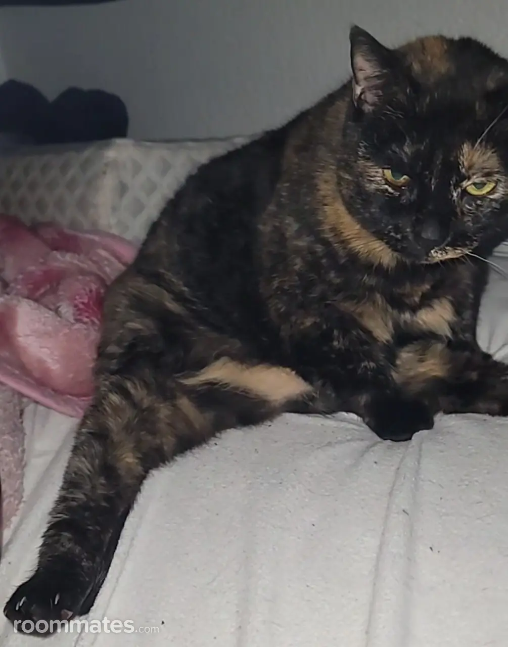 Profile photo 4 of 4