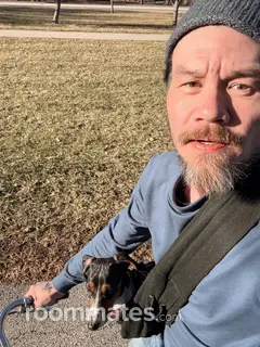 Roommate looking Chicago, IL, $1000