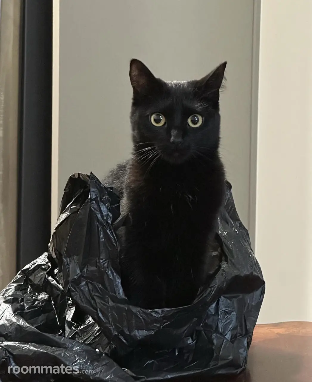 Profile photo 3 of 3