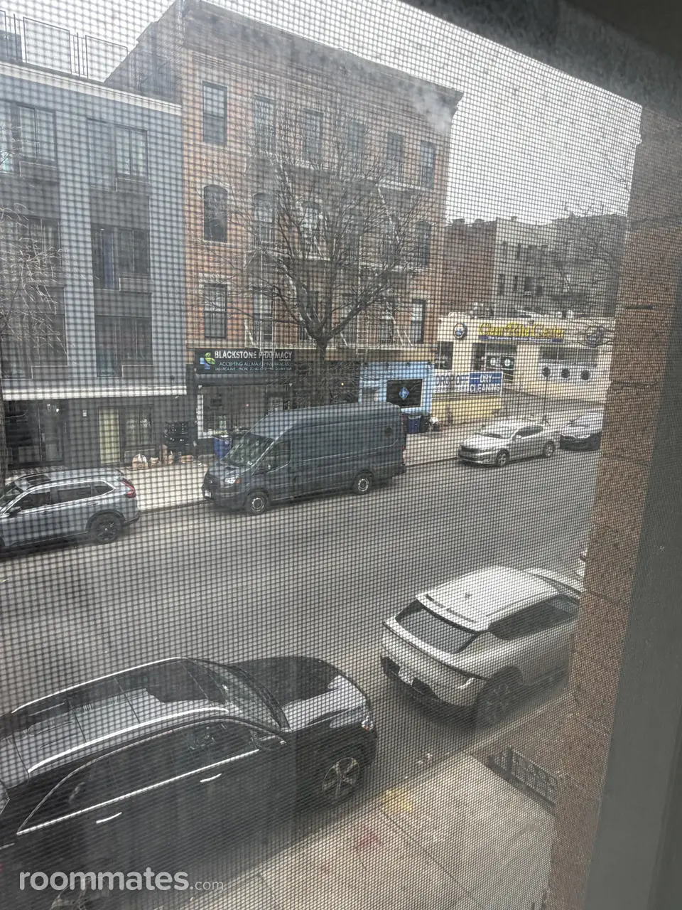 Profile photo 8 of 9