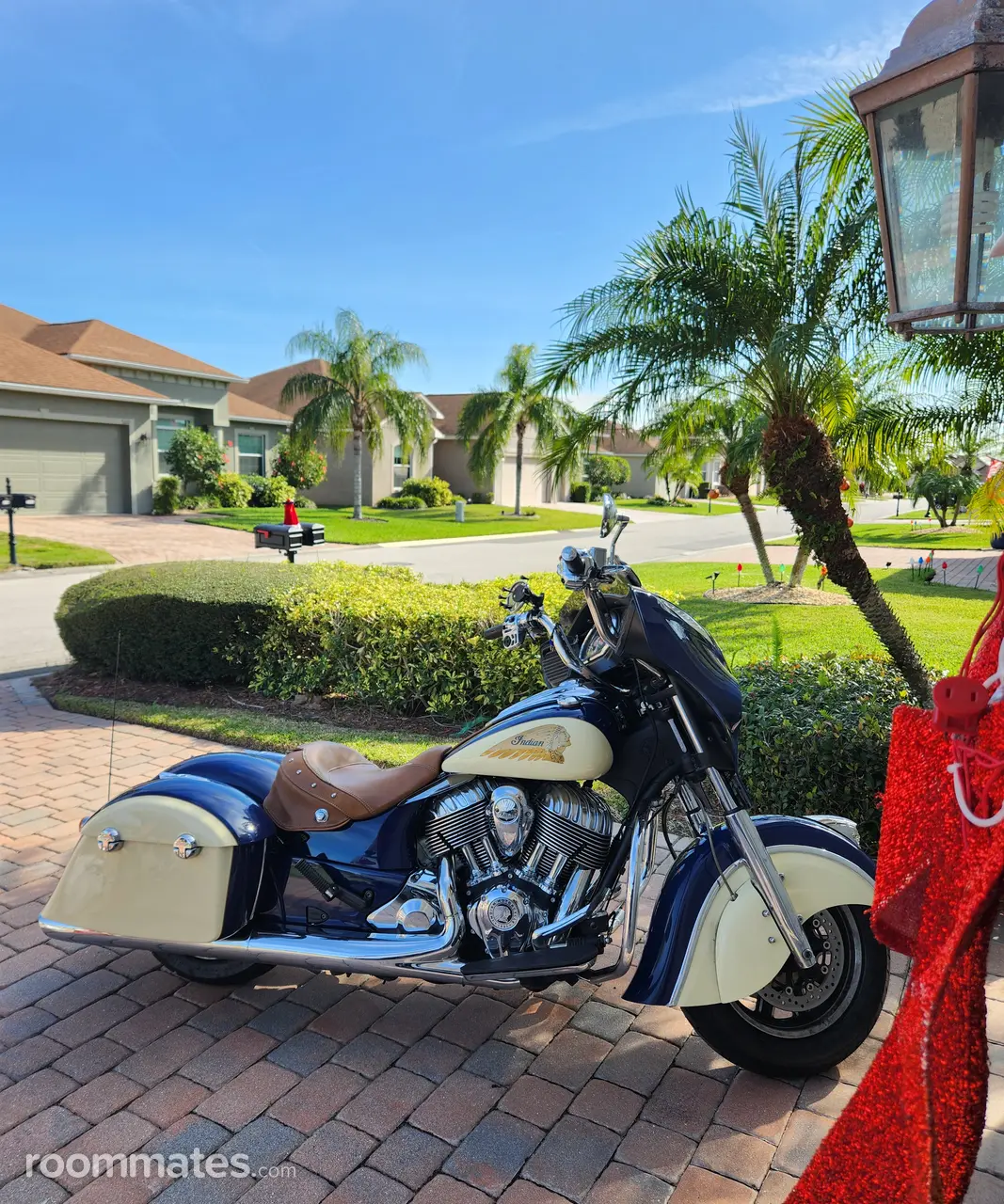 Profile photo 5 of 5