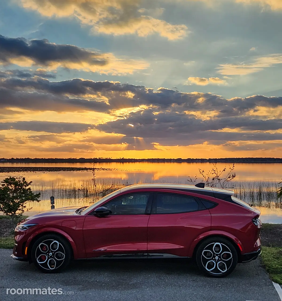 Profile photo 3 of 5