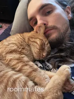 Roommate looking Covington, KY, $700