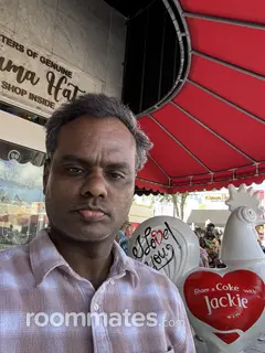 Roommate looking Plano, TX, $1000