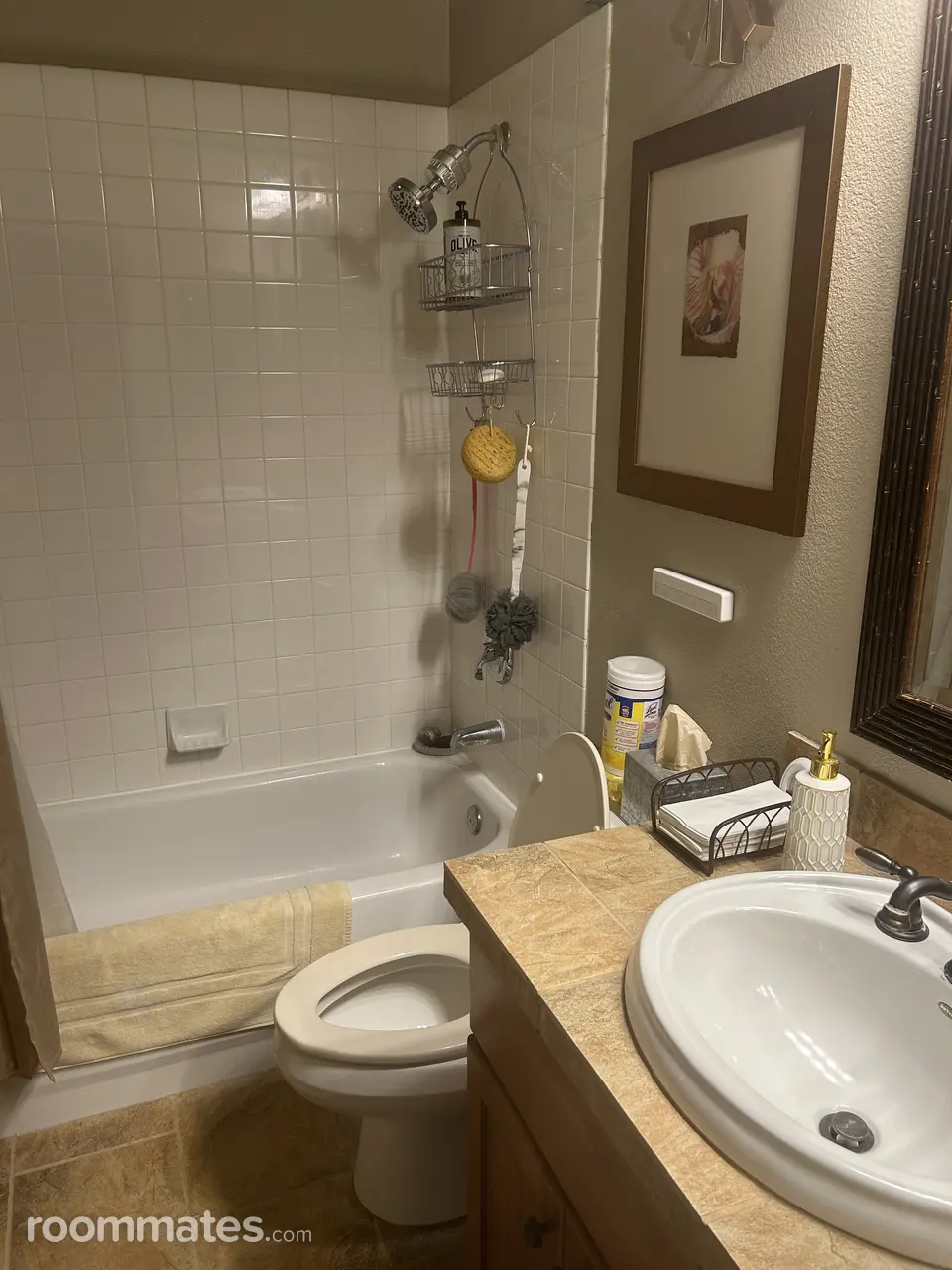 Profile photo 2 of 7