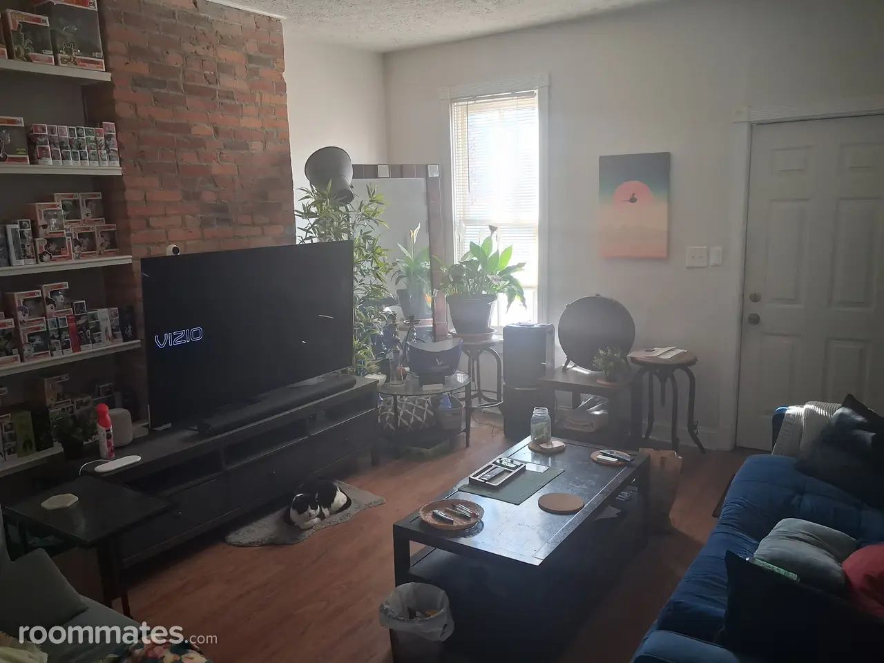 Profile photo 9 of 17