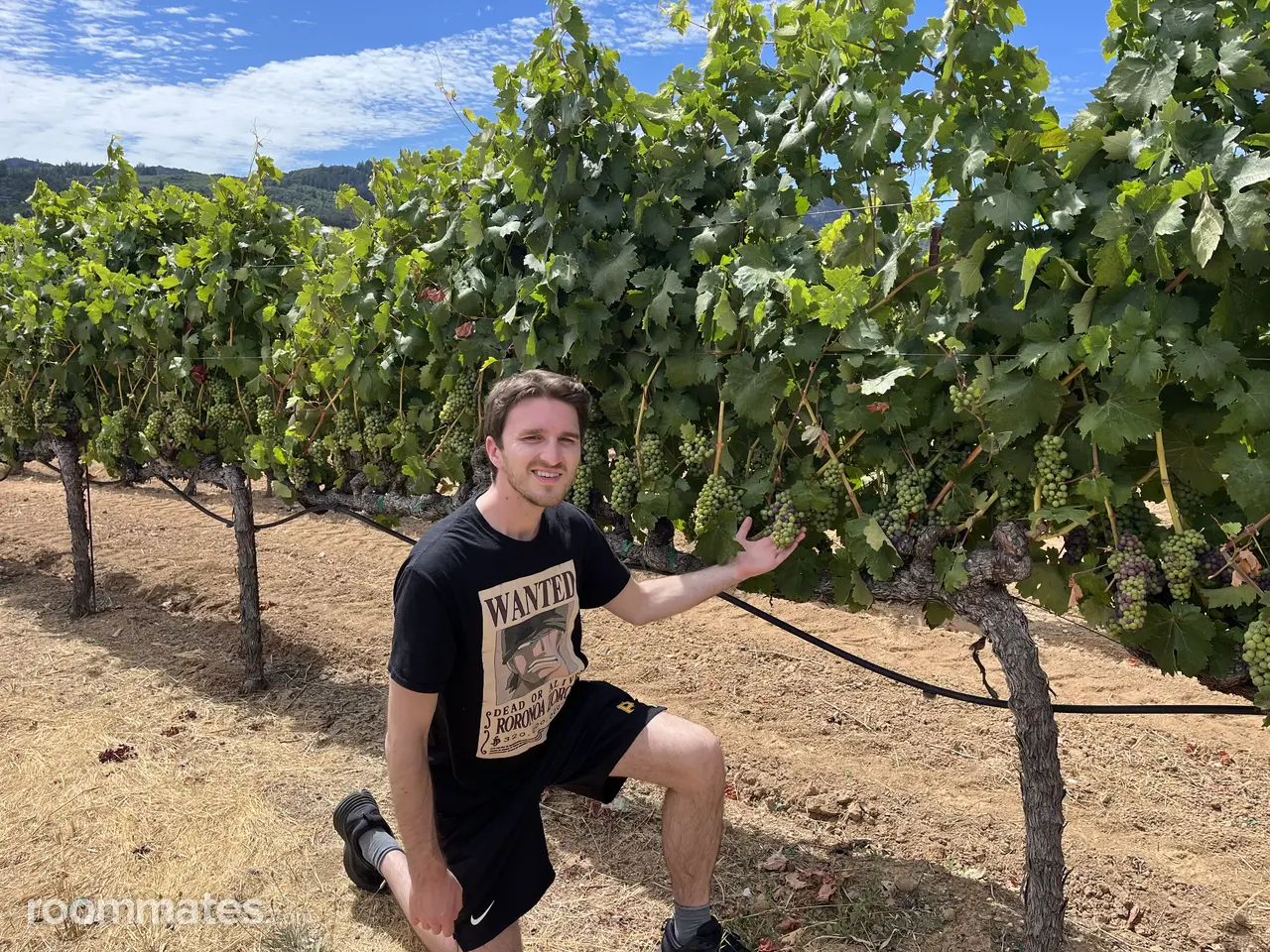 Profile photo 6 of 6