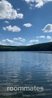 Roommate looking Fayetteville, AR, $700