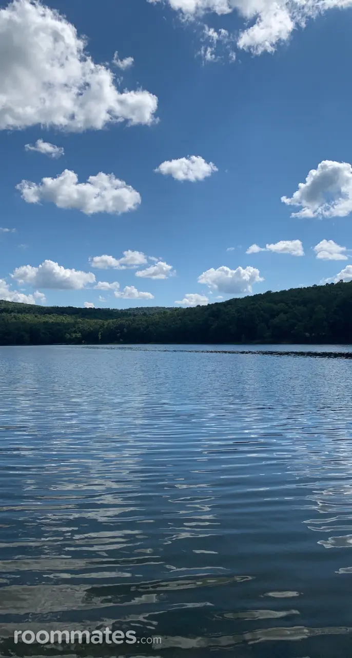 Profile photo 1 of 1