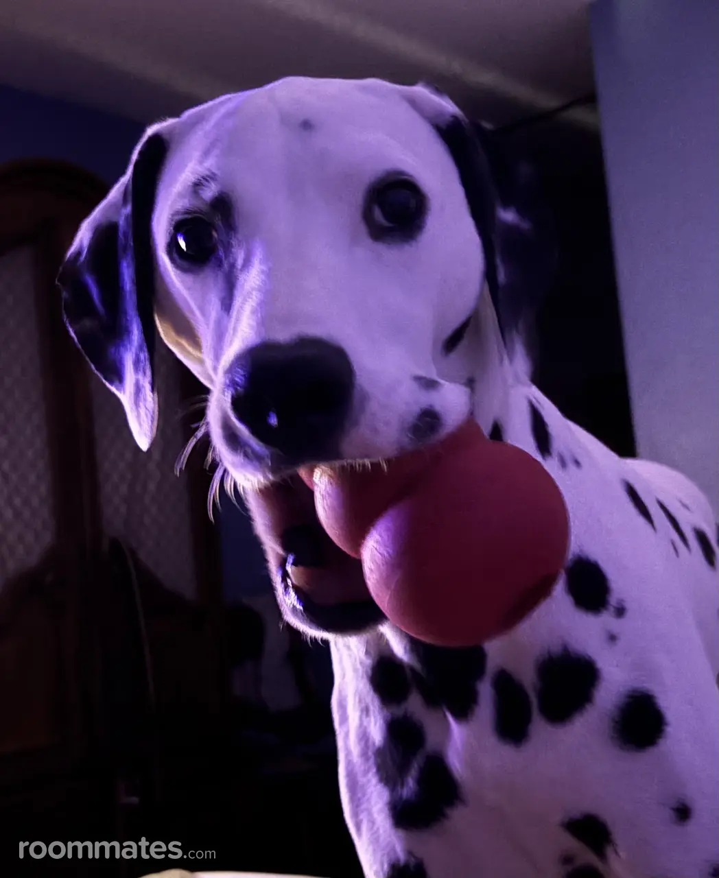 Profile photo 4 of 4