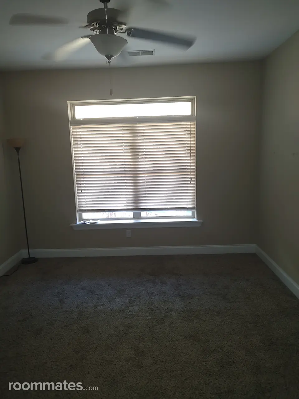 Profile photo 2 of 10